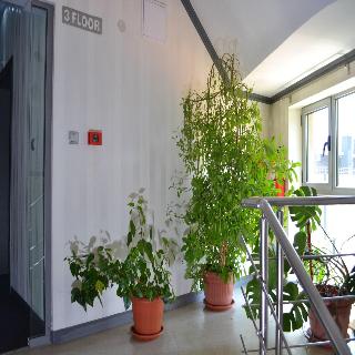 Business Hotel Elate Plaza