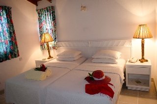 Room
 di Halcyon Palm