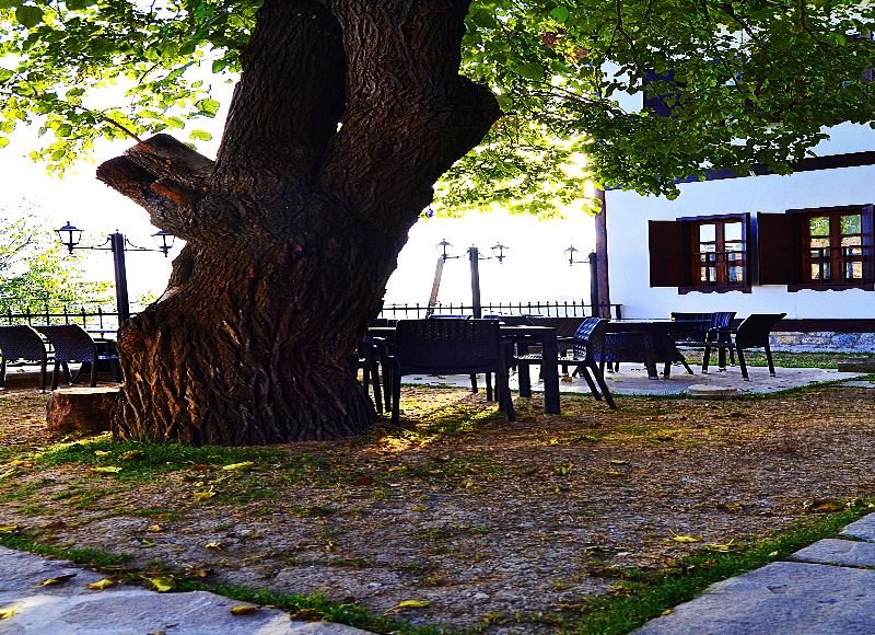 Terrace
 di Leyla Hanim Konagi