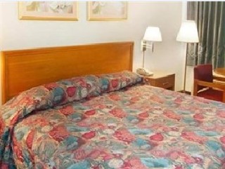 Room
 di Arena University Hotel