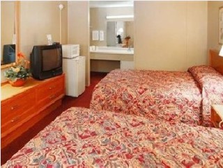 Room
 di Arena University Hotel