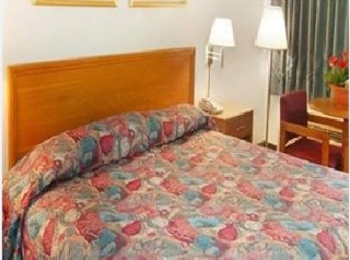 Room
 di Arena University Hotel