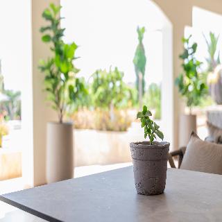 Akti Coast Club Hotel