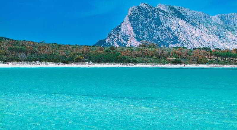 Residence Ambra, North Sardinia
