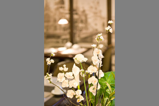 Gildors Hotel Atmosphère, Dusseldorf