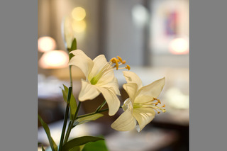 Gildors Hotel Atmosphère, Dusseldorf