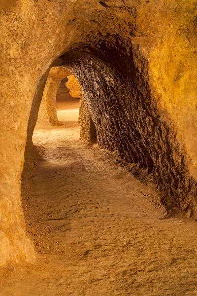 Sports and Entertainment
 di La Villa