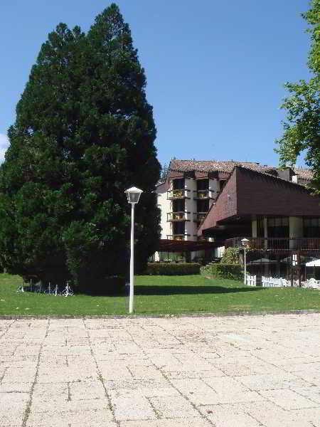 General view
 di Baztan