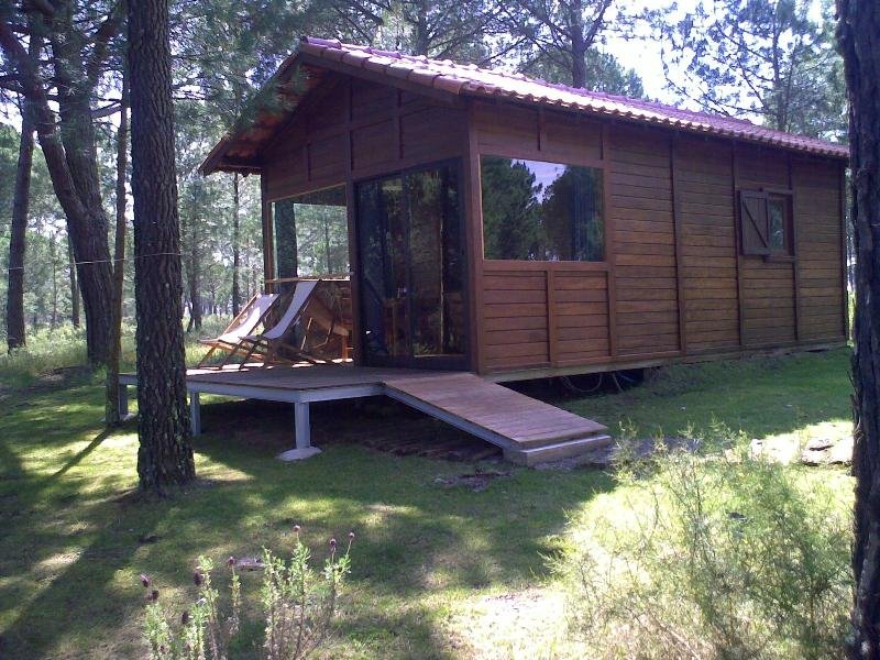 General view
 di Brejo do Amada