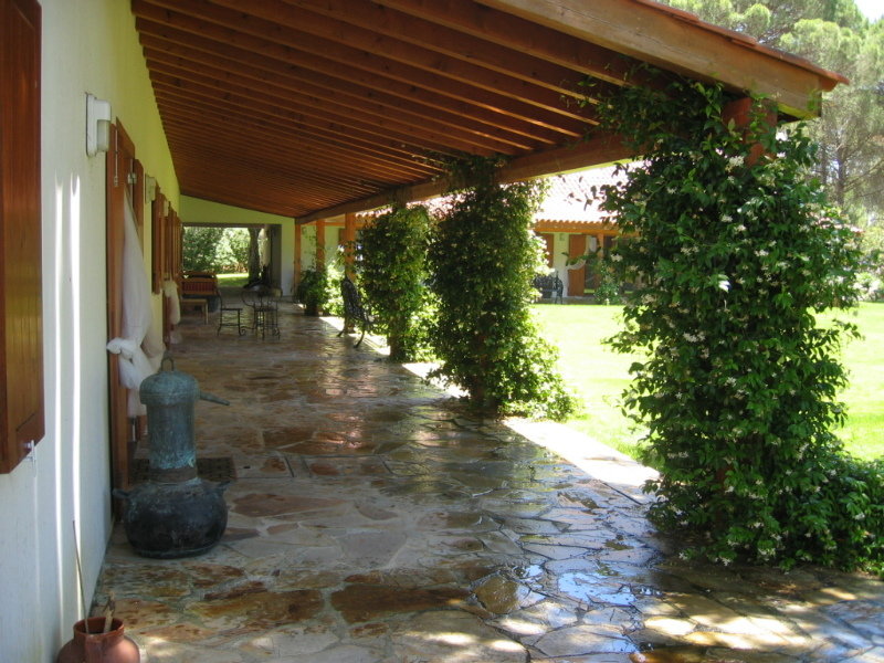 General view
 di Brejo do Amada