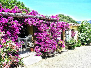 Lobby
 di Residence Torre delle Stelle