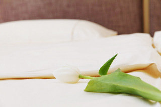 Room
 di Apartment Skadarlija