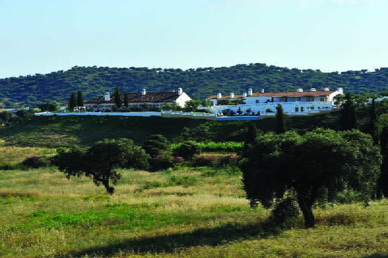 General view
 di Herdade do Sobroso Country House