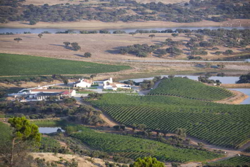 General view
 di Herdade do Sobroso Country House