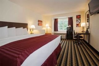 Room
 di Jacksonville Plaza Hotel & Suites
