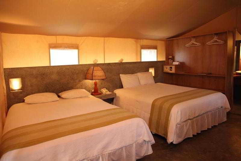 Room
 di Vichayito Bungalows y Carpas