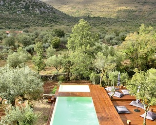 Cooking and Nature Emotional Hotel
