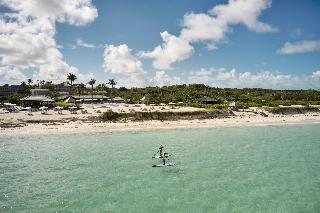 Como Parrot Cay