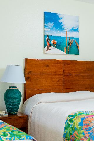Room Room