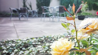 General view
 di Telecom Guest