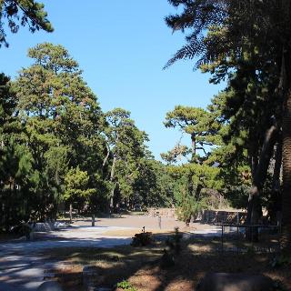 Ajiwai No Yado Tokiwaya