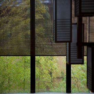整體概覽