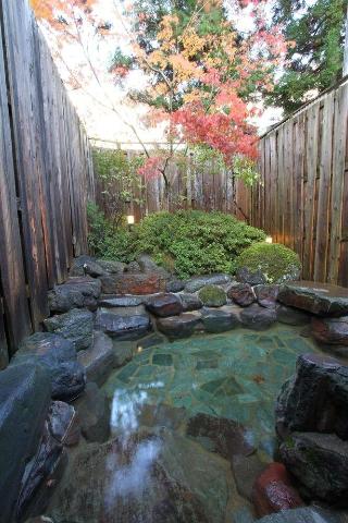 Hotel Natural Garden Nikko
