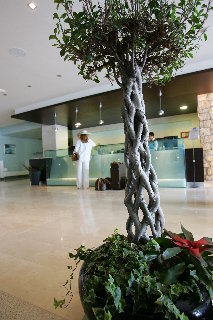 Lobby
 di Bluesun Hotel Soline