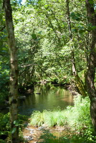 General view
 di O Muino De Pena