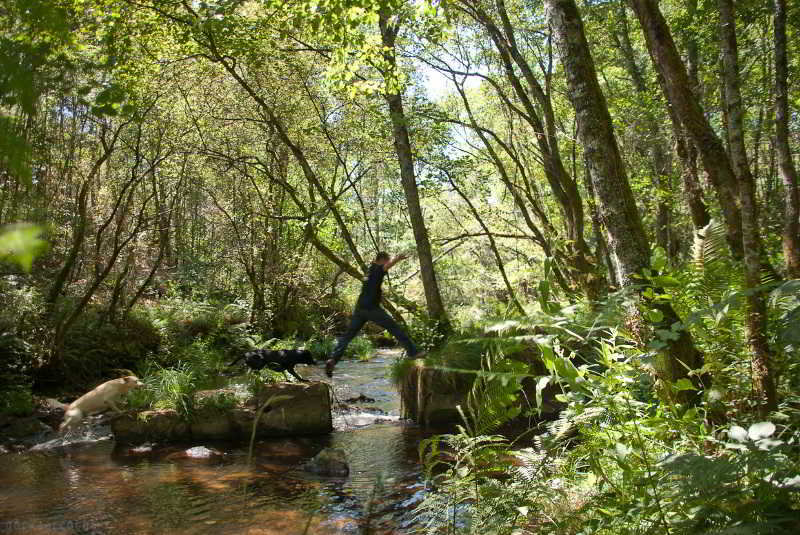 General view
 di O Muino De Pena