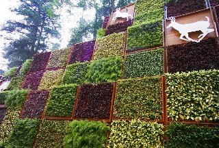 General view
 di Lealea Garden Moon