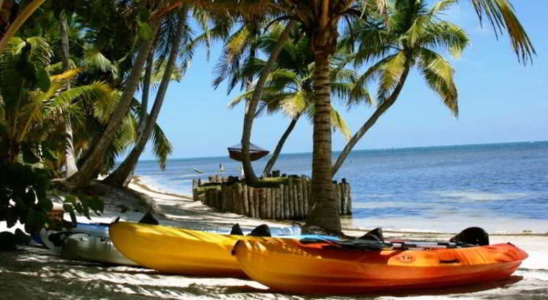 Sports and Entertainment
 di El Secreto