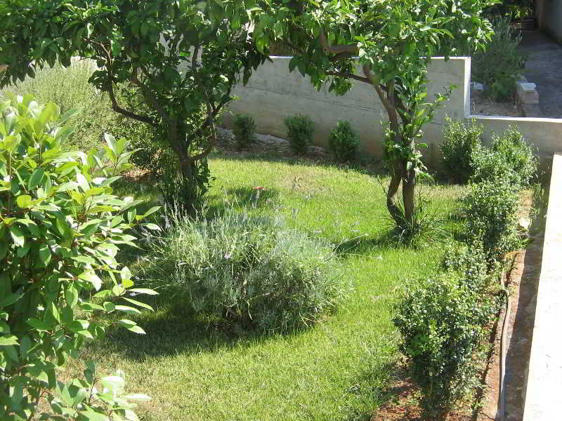 General view
 di Marin