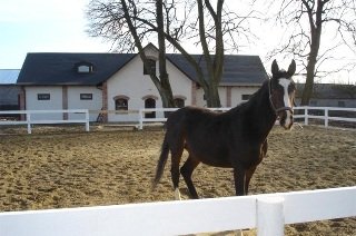 Sports and Entertainment
 di Usadba