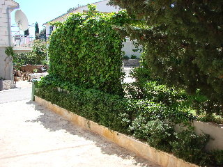 General view
 di Marija