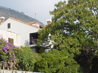 General view
 di Lia