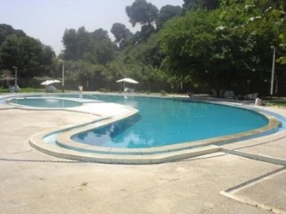 Pool
 di Moflon D’or
