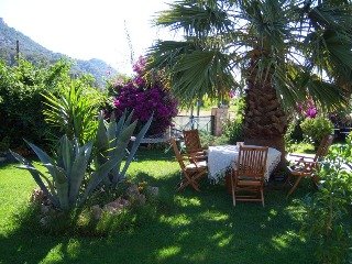 General view
 di Papirus Hotel