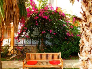 General view
 di Papirus Hotel