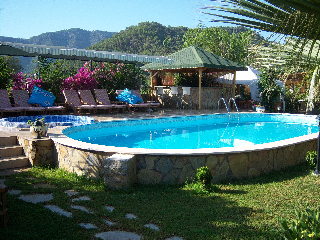 Pool
 di Papirus Hotel