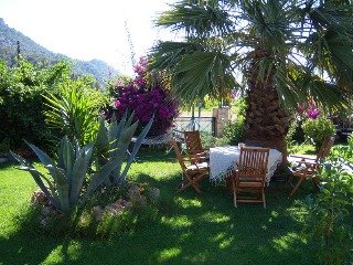 Terrace
 di Papirus Hotel