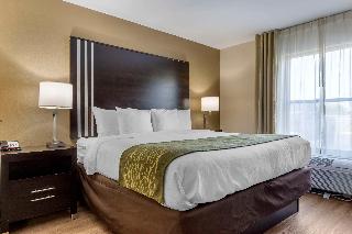 1 King Bed, Suite, Nonsmoking