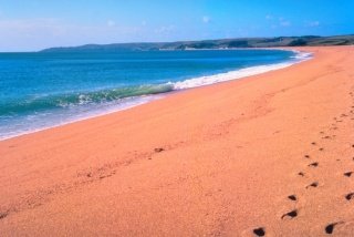 Beach
 di Coasters Hotel & Holiday Apartments