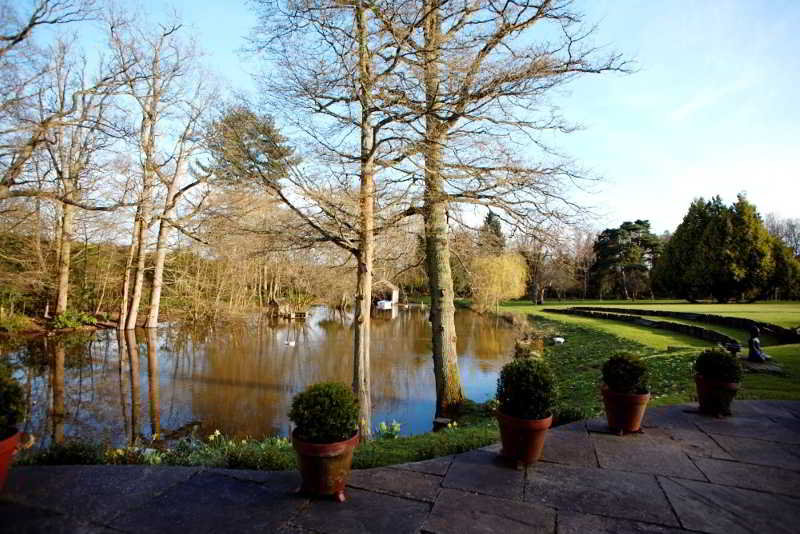 General view
 di Shoyswell Cottage