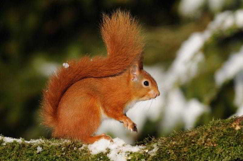 Sports and Entertainment
 di Cavens Country House Hotel