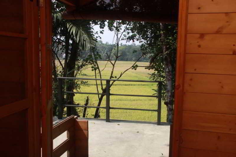 General view
 di ZEPPELIN ECO CABINS