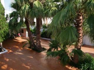 General view thumbnail 17