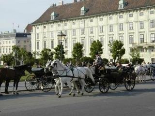 General view
 di Alpha