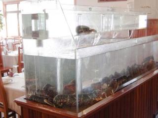 General view
 di Hotel Florida