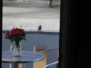 General view
 di Studios Rea Sun